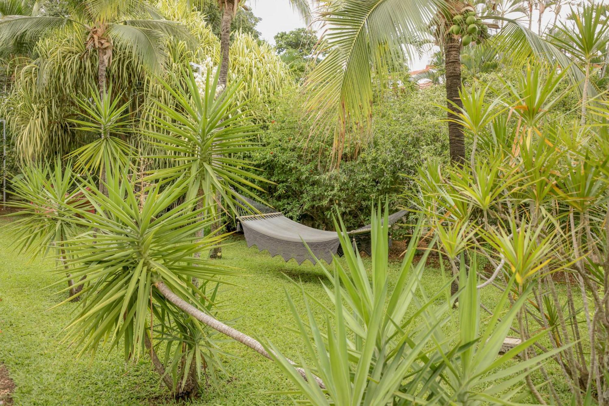 Hotel Villa Del Sol Coco Extérieur photo