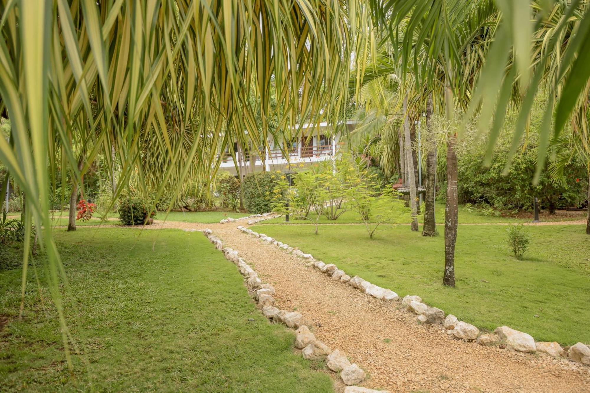 Hotel Villa Del Sol Coco Extérieur photo